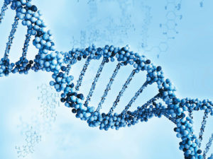 Генетическая экспертиза для установления двоюродного родства 🔬👨👩👧👦 Генетическая экспертиза для установления двоюродного родства 🔬👨👩👧👦