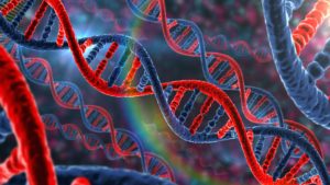 Генетическая информация митохондриальной ДНК (мтДНК) 🔬🔬🔬 Генетическая информация митохондриальной ДНК (мтДНК) 🔬🔬🔬